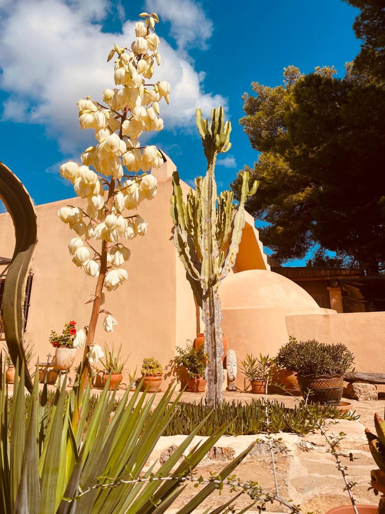Finca Can Toni Sant Jordi de ses Salines Bagian luar foto